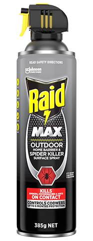 Raid MAX Outdoor Home Barrier & Spider Killer Surface Spray
